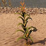Дикая кукуруза в игре Rust