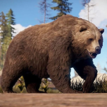 Медведь в игре Rust